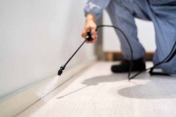 Licensed Pest Control service in Rocky Mount, NC - Show Me Pest Control